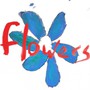 Flowers - Flowers