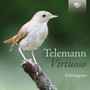 Virtuoso - G.P. Telemann