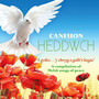 Caneuon Heddwch - Caneuon Heddwch  /  Various (UK)