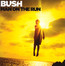 Man On The Run - Bush