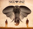 Black Star Elephant - Nico & Vinz