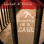Trapped In A Cage - Damien O Neill