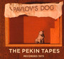 Pekin Tapes - Pavlov's Dog