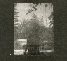 Ruins - Grouper