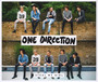 Steal My Girl - One Direction