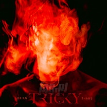 Adrian Thaws - Tricky