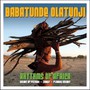 Rhythms Of Africa - Babatunde Olatunji