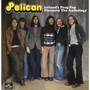 Iceland's Prog-Pop Pioneers: The Anthology - Pelican