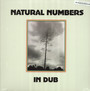 Natural Numbers In Dub - Natural Numbers