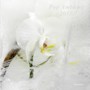 Pop Ambient 2015 - Pop Ambient 2015  /  Various (W / CD)