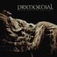 Where Greater Men Have Fallen - Primordial