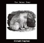 Polar Bear - Michael Chapman