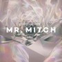 Parallel Memories - MR. Mitch