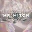 Parallel Memories - MR. Mitch