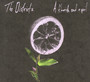 Flourish & A Spoil - The Districts