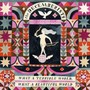 What A Terrible World: What A Beautiful World - The Decemberists