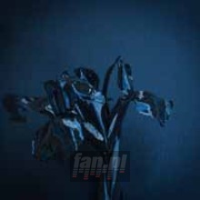 The Rifts - A Swarm Of The Sun The Rifts - A Swarm Of The Sun