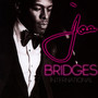 Bridges - Joe