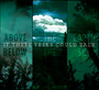 Above The Earth, Below The Sky - If These Trees Could Talk