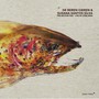 Detour Fish, Live In - De Beren Gieren / Susanna S