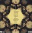Super Critical - The Ting Tings - bigger Super Critical - The Ting Tings