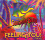 Feeling You The 60'S - KC & The Sunshine Band