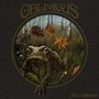 Out Of Wilderness - Oblivious