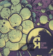 Flies To Flame - Rosetta