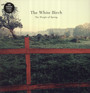 Weight Of Spring - The White Birch 