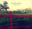Weight Of Spring - The White Birch 