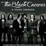 A Texan Tornado - The Black Crowes 