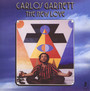 New Love - Carlos Garnet