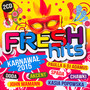 Fresh Hits Karnawa 2015 - Fresh Hits   