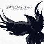 Live At The Greek - La 1991 - The Black Crowes 