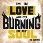 I'm In Love & It's Burning I - The Subways
