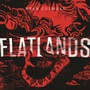 Flatlands - Ryan Culwell