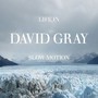 Life In Slow Motion - David Gray