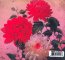 Asunder, Sweet & Other - Godspeed You! Black Emper - powiększ Asunder, Sweet & Other - Godspeed You! Black Emper