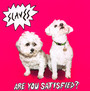 Are You Satisfied - Slaves