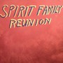 Hands Together - Spirit Family Reunion