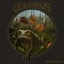 Out Of Wilderness - Oblivious  Red Vinyl Ed