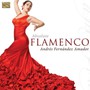 Absolute Flamenco - Andres Fernandez Amador 