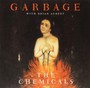 Chemicals/ On Fire - Garbage