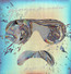 Deja Vu - Giorgio Moroder Deja Vu - Giorgio Moroder