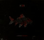 Koi - Lorenzo Feliciati