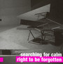 Right To Be Forgotten - Searching For Calm