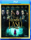 Tajemnice Lasu - Movie / Film