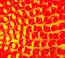 Morning/ Evening - Four Tet - bigger Morning/ Evening - Four Tet