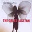 Great Eastern - The Delgados