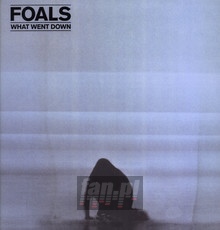What Went Down - The Foals